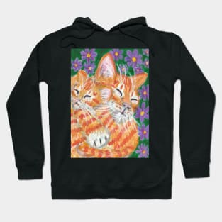 orange ginger kitten Hoodie